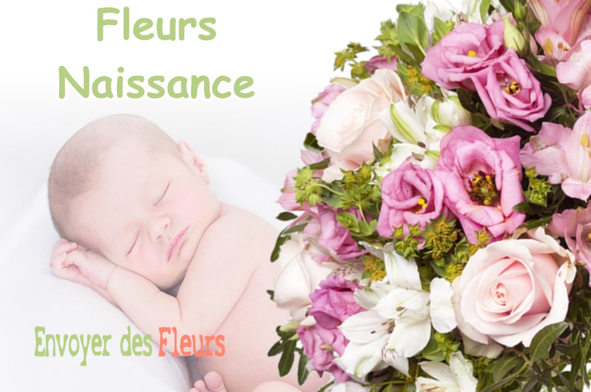 lIVRAISON FLEURS NAISSANCE à AUXANGE